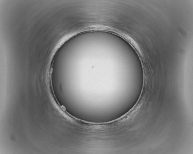 X0000113071381200908281000