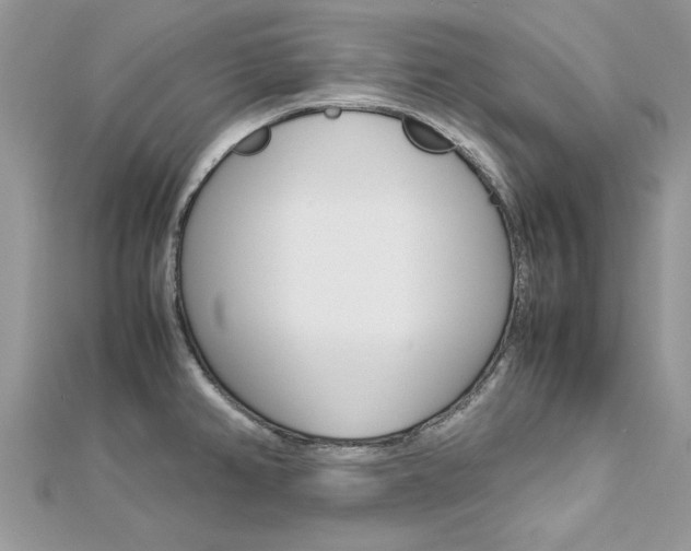 X0000113071382200908281000