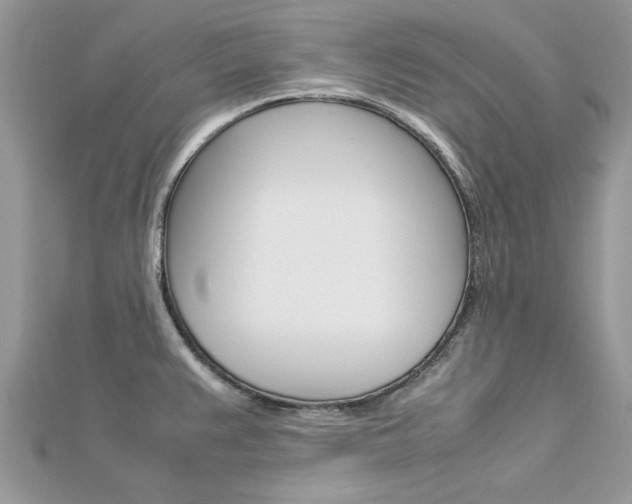 X0000113071383200908281000