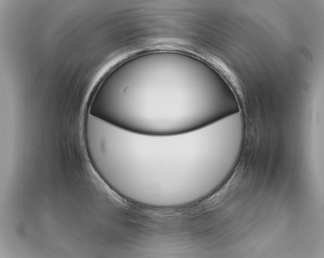 X0000113071384200908281000