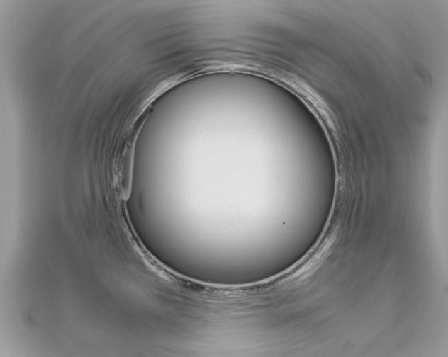X0000113071385200908281000