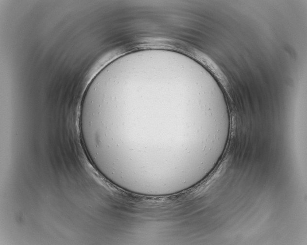 X0000113071386200908281000