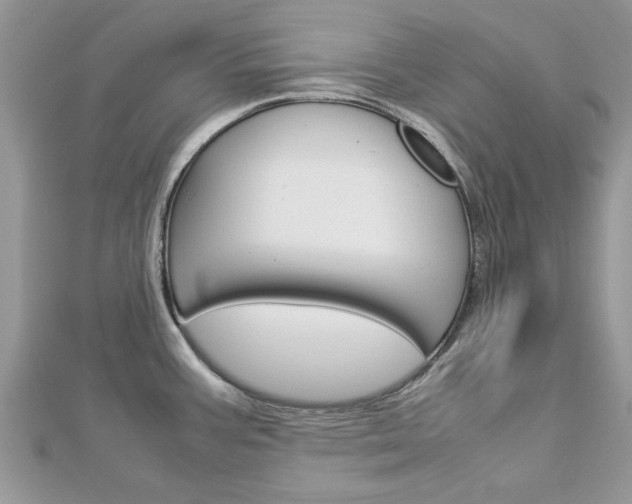 X0000113071387200908281000