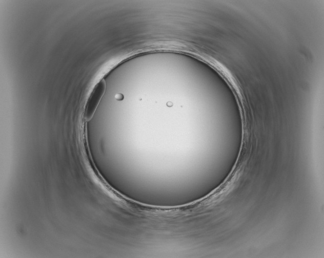 X0000113071389200908281000