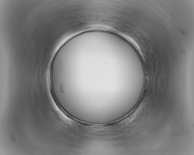 X0000113071391200908281000