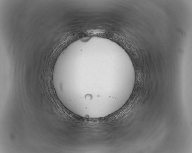 X0000113071393200908280959
