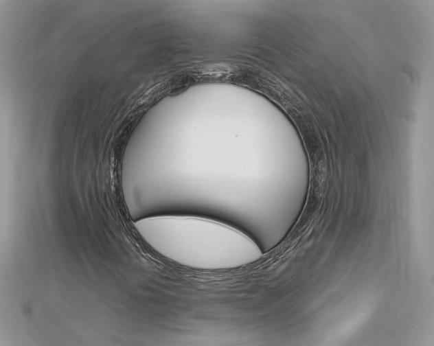 X0000113071394200908280959