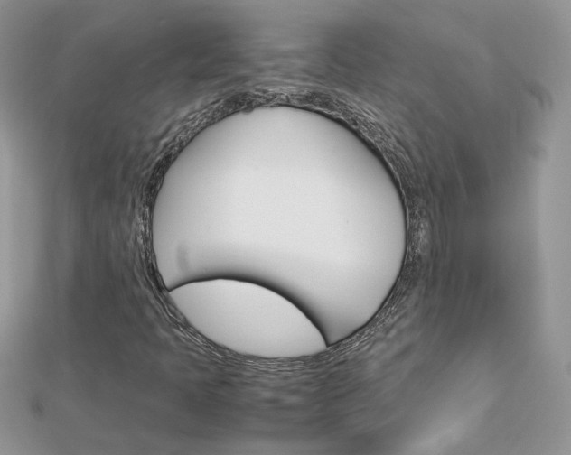 X0000113071397200908280959
