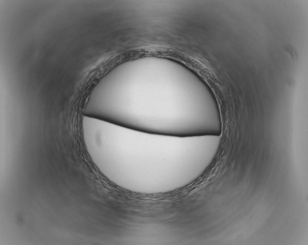 X0000113071398200908280959