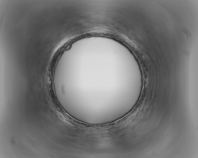X0000113071400200908280959