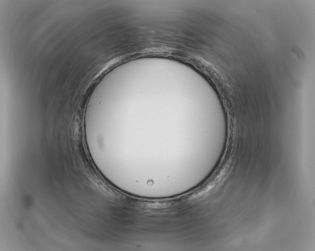 X0000113071401200908280959
