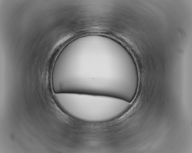 X0000113071402200908280959