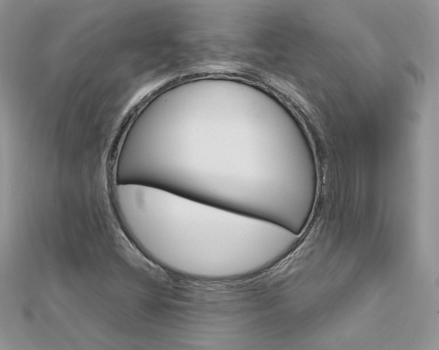X0000113071404200908280959