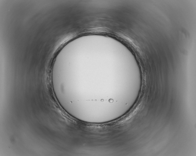 X0000113071405200908280959