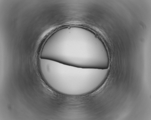 X0000113071406200908281000