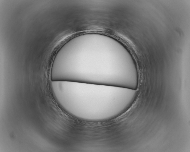 X0000113071407200908281000