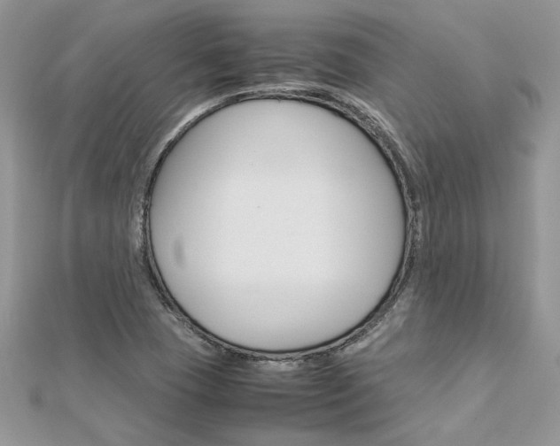 X0000113071409200908281000