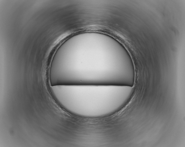X0000113071410200908281000