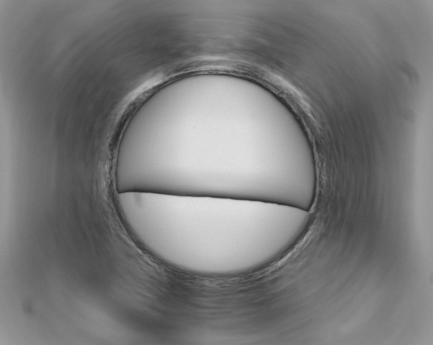X0000113071411200908281000