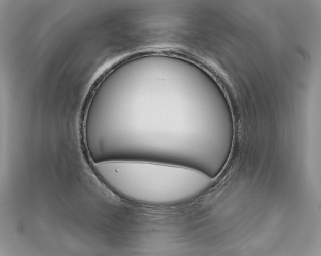 X0000113071412200908281000