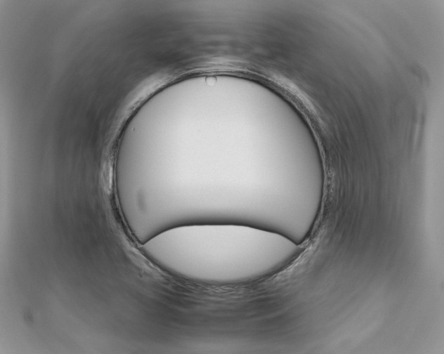 X0000113071413200908281000
