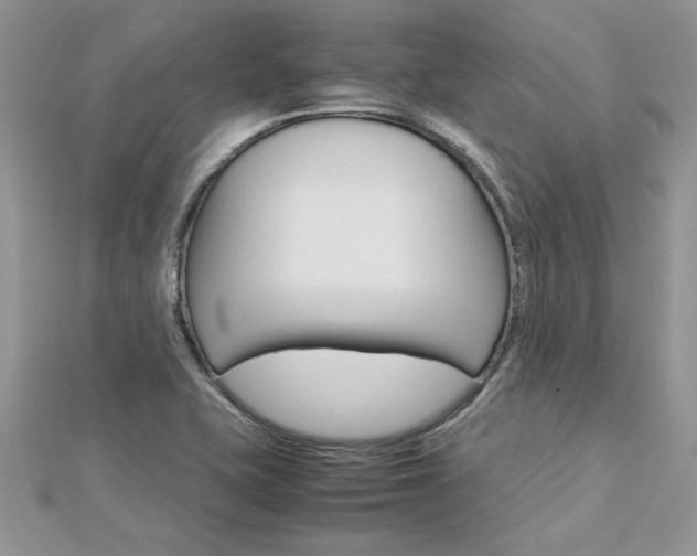 X0000113071415200908281000