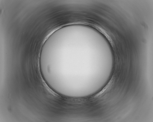 X0000113071417200908281000