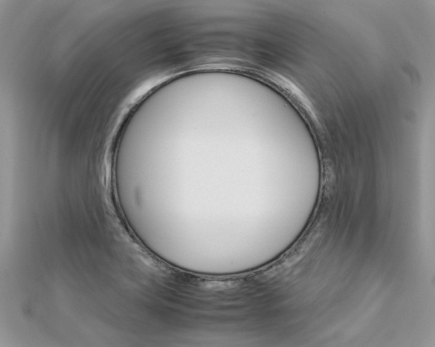 X0000113071419200908281000