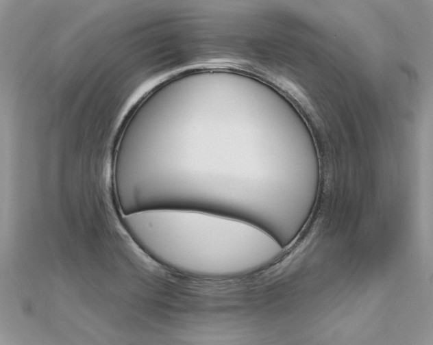 X0000113071420200908281000