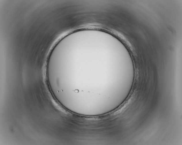 X0000113071421200908281000
