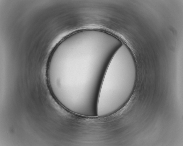 X0000113071422200908281000