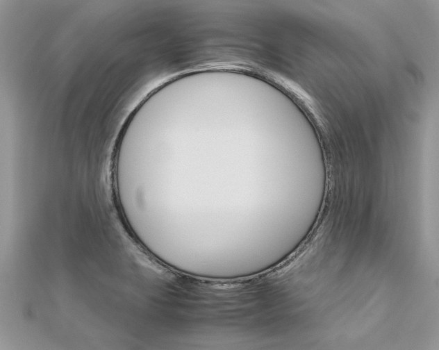 X0000113071423200908281000