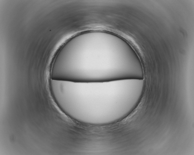 X0000113071424200908281000
