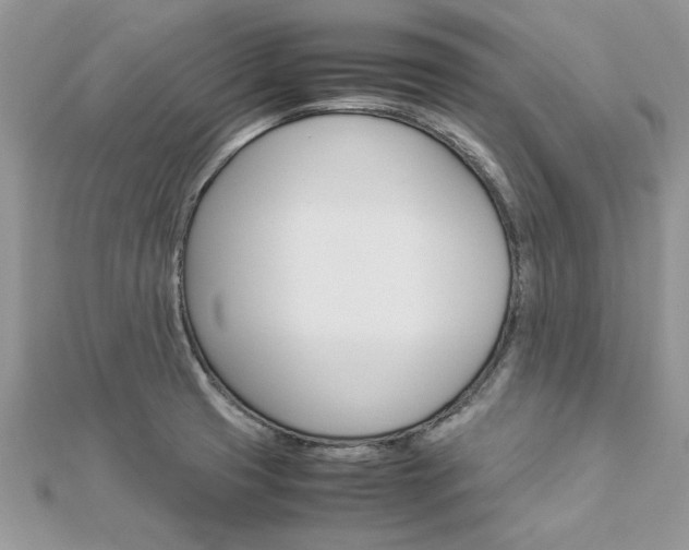 X0000113071425200908281000