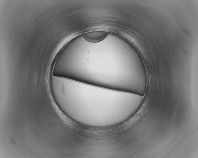 X0000113071426200908281000