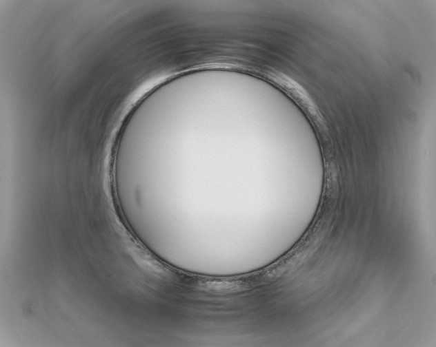 X0000113071427200908281000