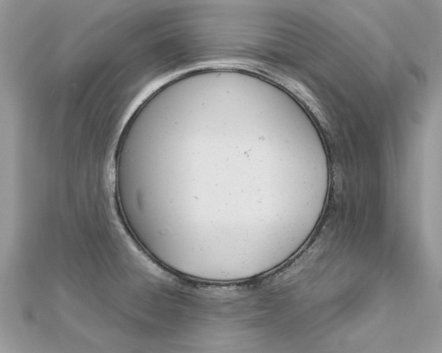 X0000113071428200908281000