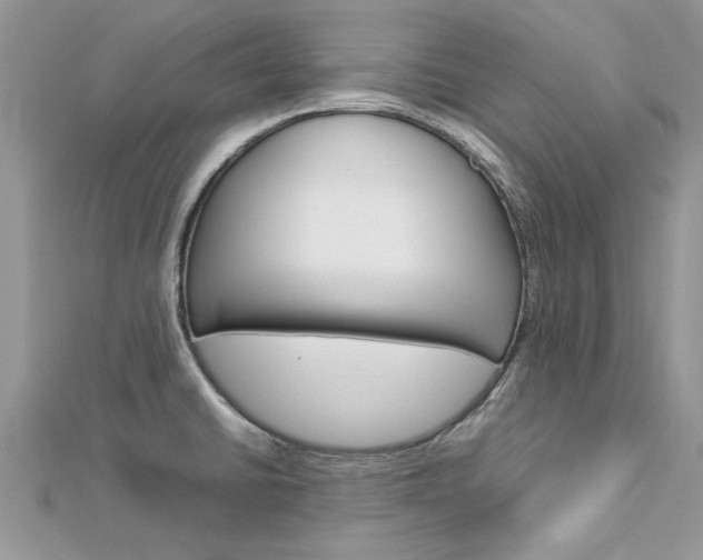 X0000113071430200908281000