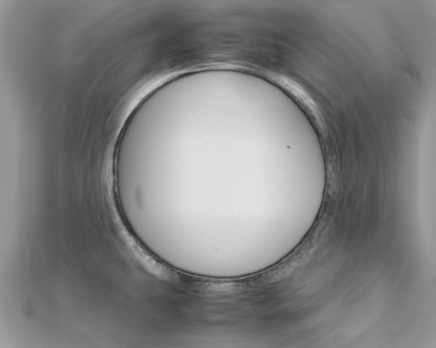 X0000113071431200908281000
