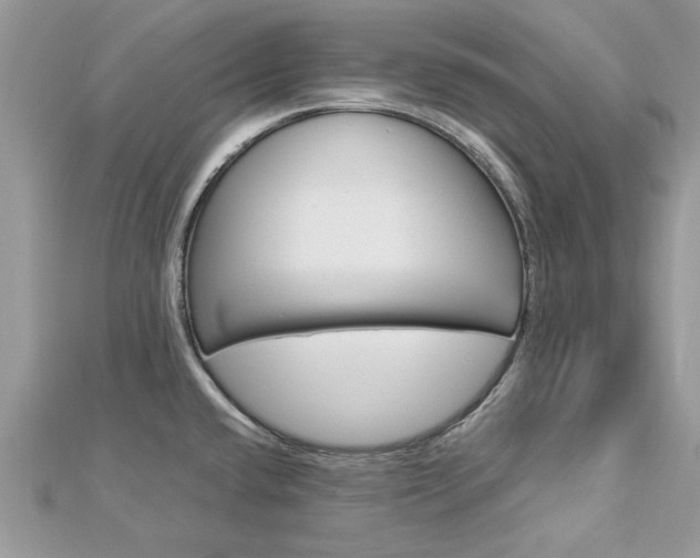 X0000113071432200908281000