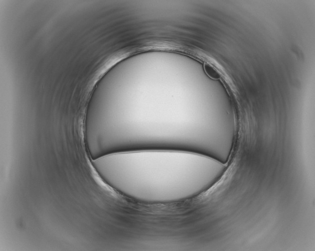X0000113071433200908281000