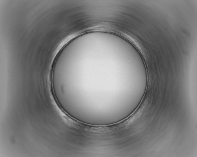 X0000113071434200908281000