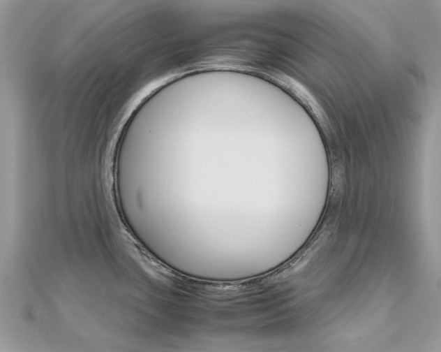 X0000113071435200908281000