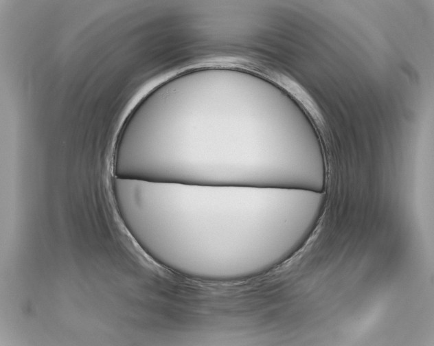 X0000113071436200908281000
