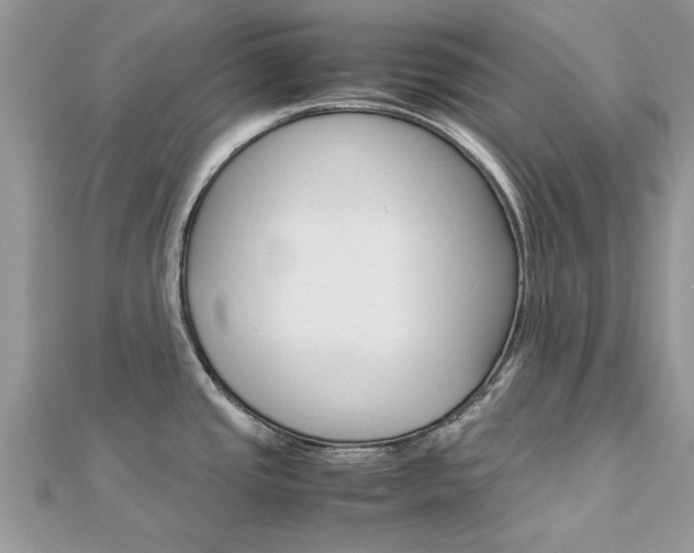 X0000113071437200908281000