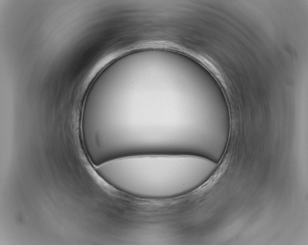 X0000113071438200908281000