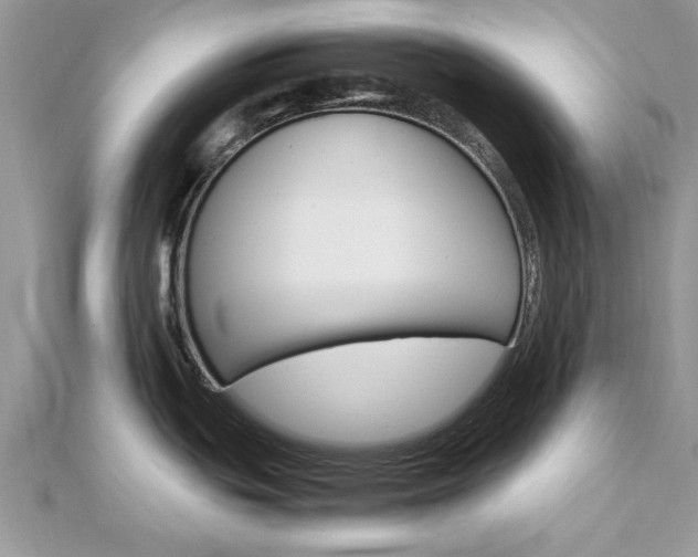X0000113071439200908281000