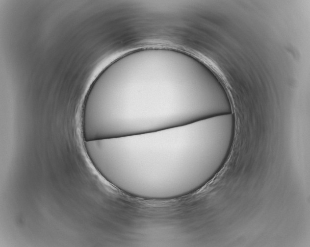 X0000113071440200908281000