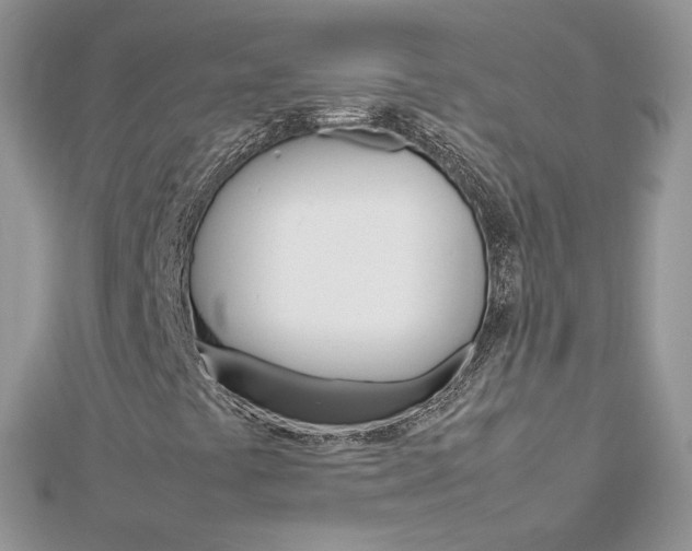 X0000113071441200908280959