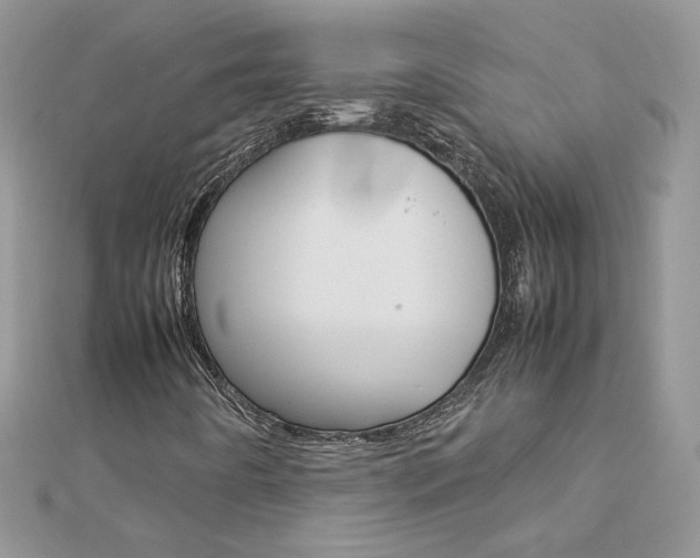 X0000113071442200908280959